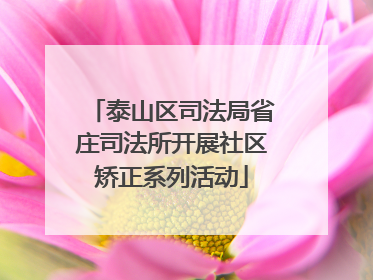 泰山区司法局省庄司法所开展社区矫正系列活动